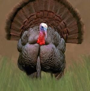 Meet your Posher, Lee